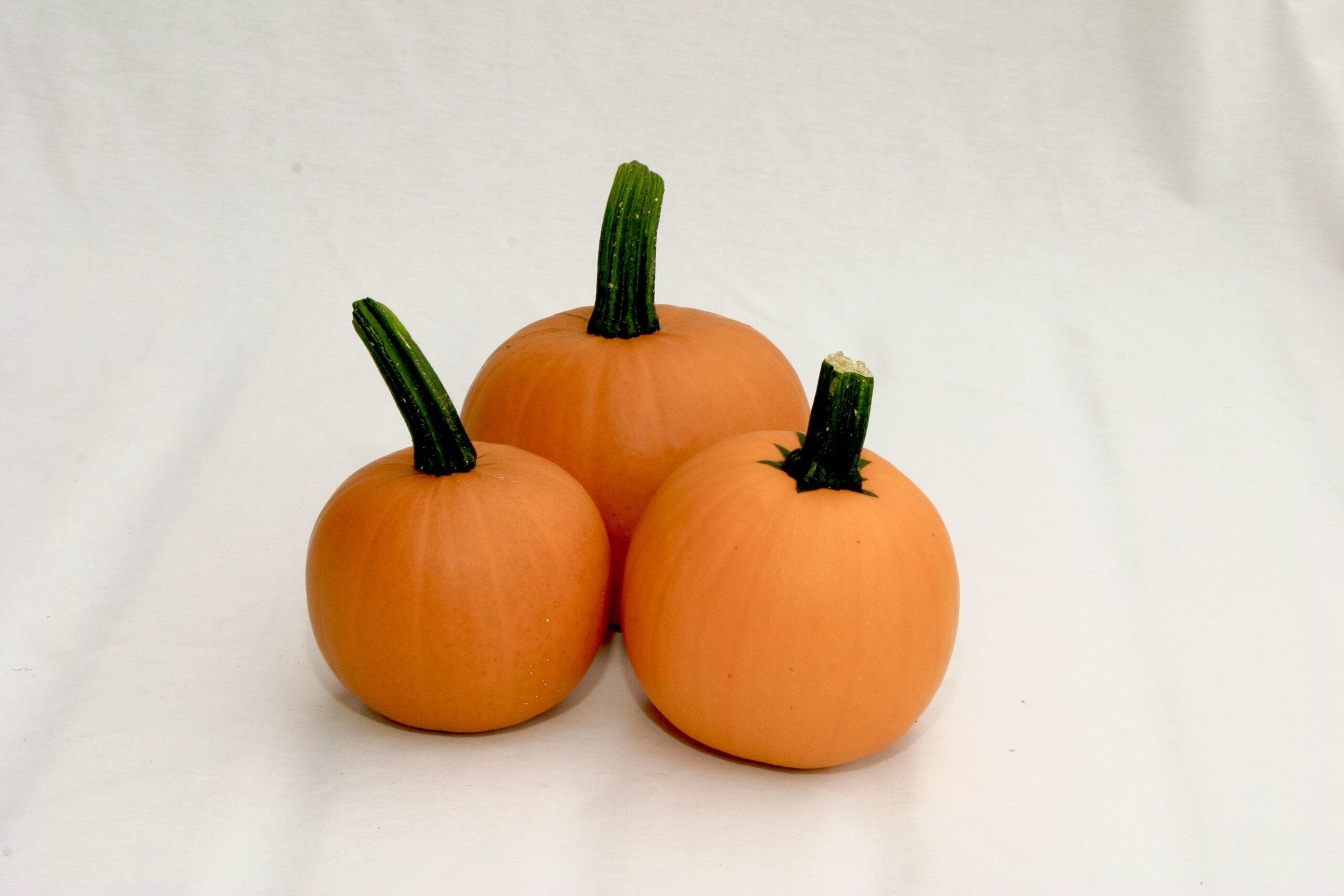 Pie Pumpkins |